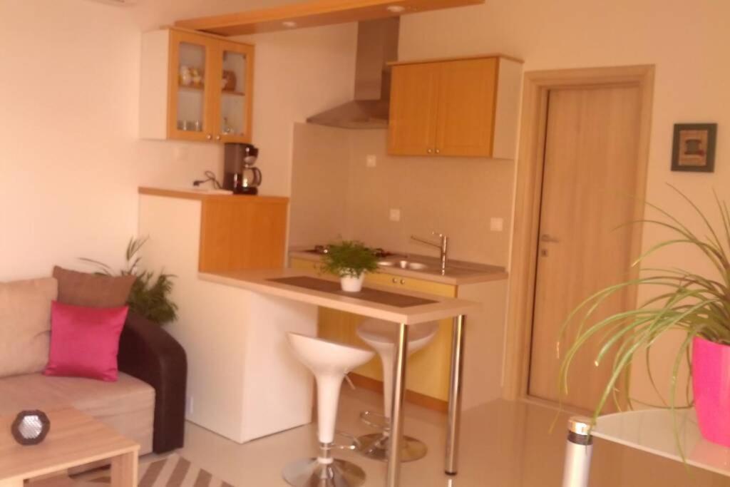 Apartment Dandelion Brela Zewnętrze zdjęcie