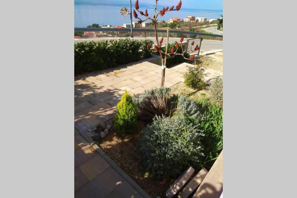Apartment Dandelion Brela Zewnętrze zdjęcie