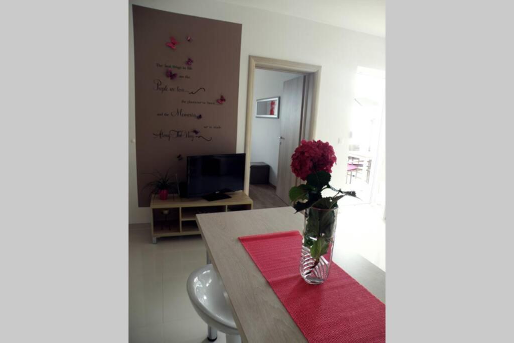 Apartment Dandelion Brela Zewnętrze zdjęcie