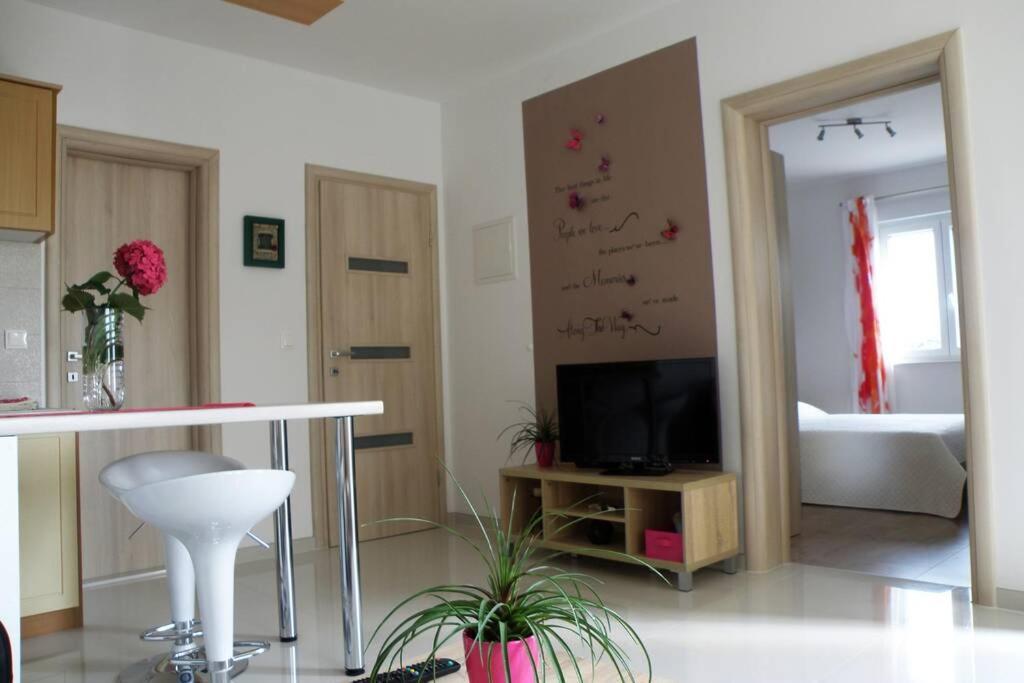 Apartment Dandelion Brela Zewnętrze zdjęcie
