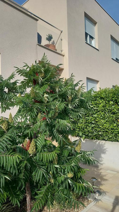 Apartment Dandelion Brela Zewnętrze zdjęcie